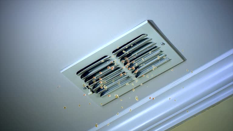 Best HVAC Duct Inspection Services  in Chelsea, MI