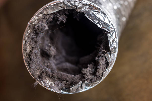 Best Air Duct Cleaning Company Near Me  in Chelsea, MI